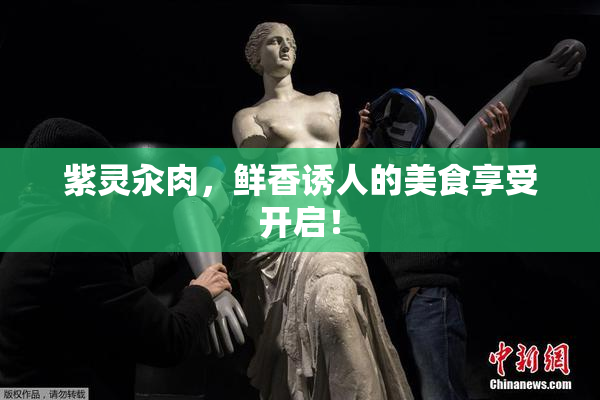 紫灵汆肉，鲜香诱人的美食享受开启！