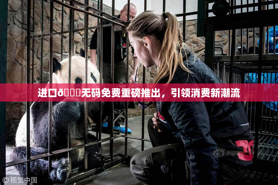 进口🔞无码免费重磅推出，引领消费新潮流
