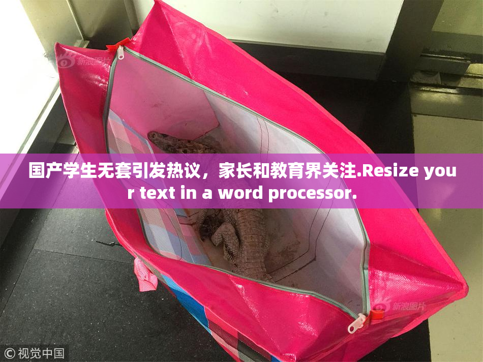 国产学生无套引发热议，家长和教育界关注.Resize your text in a word processor.