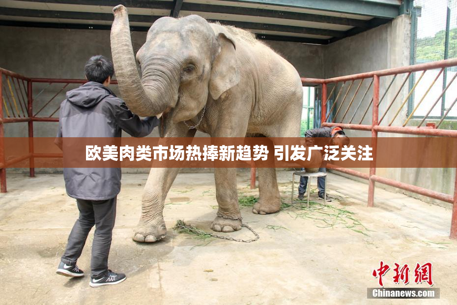 欧美肉类市场热捧新趋势 引发广泛关注