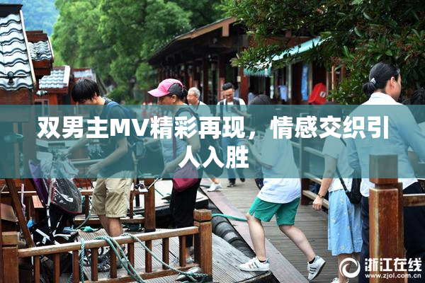 双男主MV精彩再现，情感交织引人入胜
