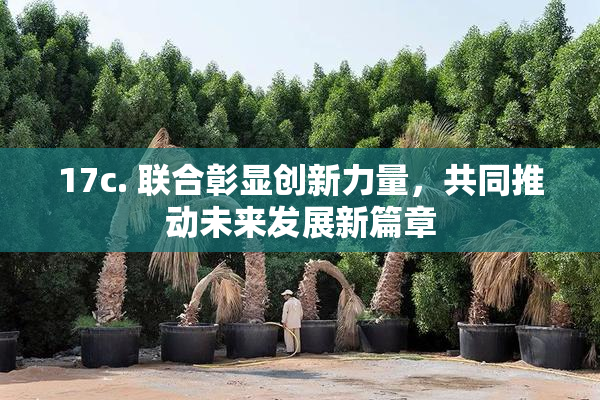 17c. 联合彰显创新力量，共同推动未来发展新篇章