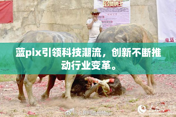 蓝pix引领科技潮流，创新不断推动行业变革。