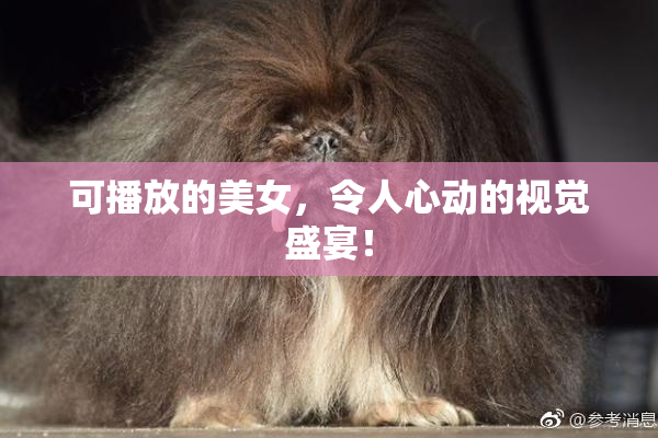 可播放的美女，令人心动的视觉盛宴！