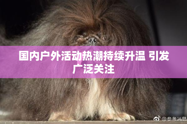 国内户外活动热潮持续升温 引发广泛关注