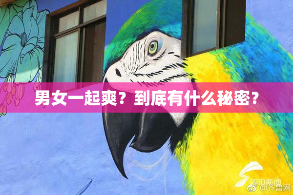 男女一起爽？到底有什么秘密？