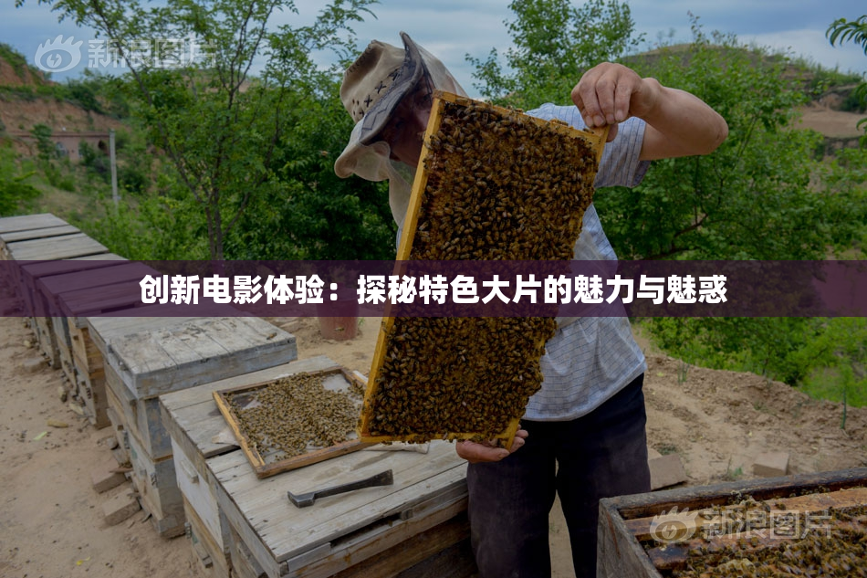 创新电影体验：探秘特色大片的魅力与魅惑