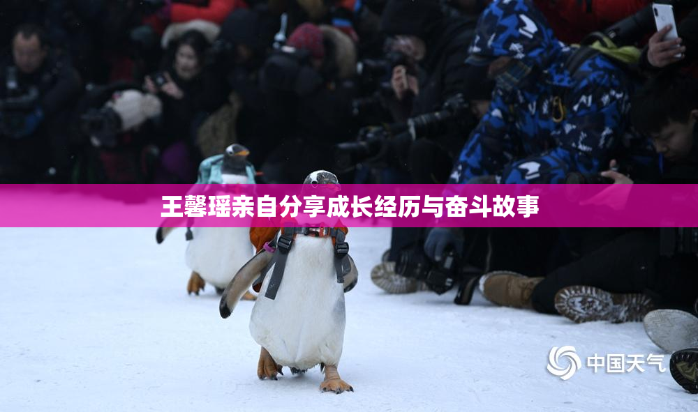 王馨瑶亲自分享成长经历与奋斗故事