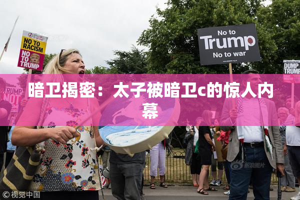 暗卫揭密：太子被暗卫c的惊人内幕