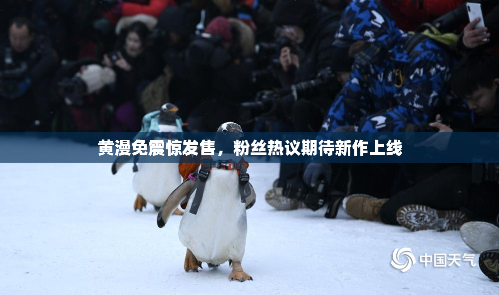 黄漫免震惊发售，粉丝热议期待新作上线