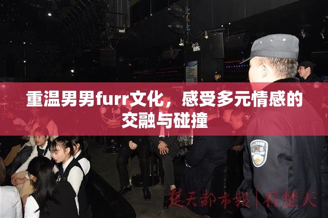 重温男男furr文化，感受多元情感的交融与碰撞