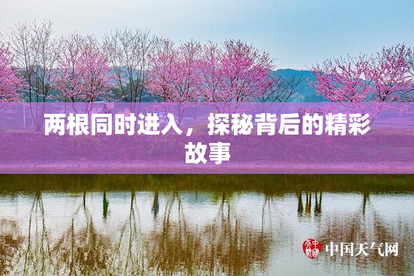 两根同时进入，探秘背后的精彩故事