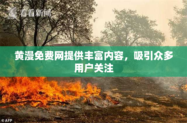 黄漫免费网提供丰富内容，吸引众多用户关注