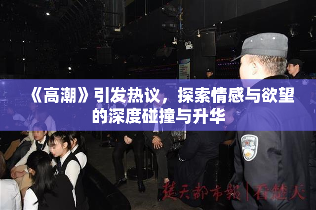 《高潮》引发热议，探索情感与欲望的深度碰撞与升华