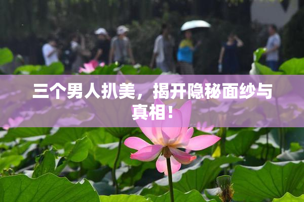三个男人扒美，揭开隐秘面纱与真相！