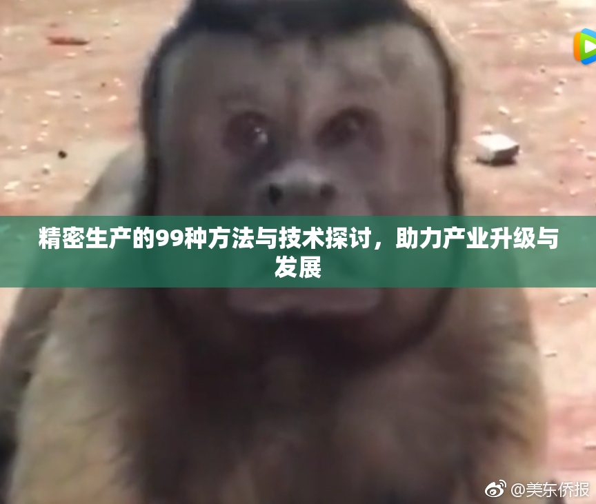 精密生产的99种方法与技术探讨，助力产业升级与发展