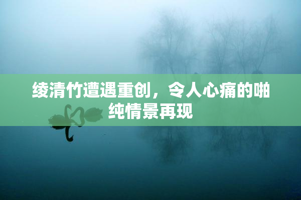 绫清竹遭遇重创，令人心痛的啪纯情景再现