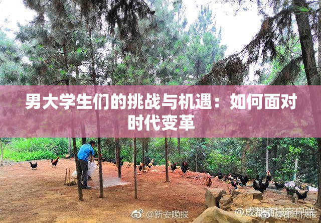 男大学生们的挑战与机遇：如何面对时代变革