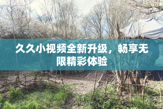 久久小视频全新升级，畅享无限精彩体验