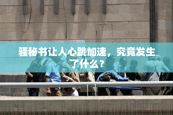 骚秘书让人心跳加速，究竟发生了什么？