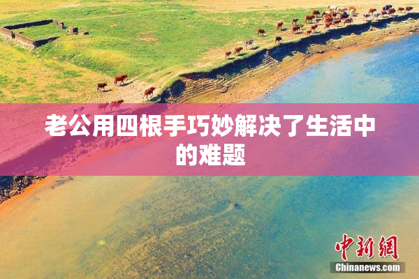 老公用四根手巧妙解决了生活中的难题