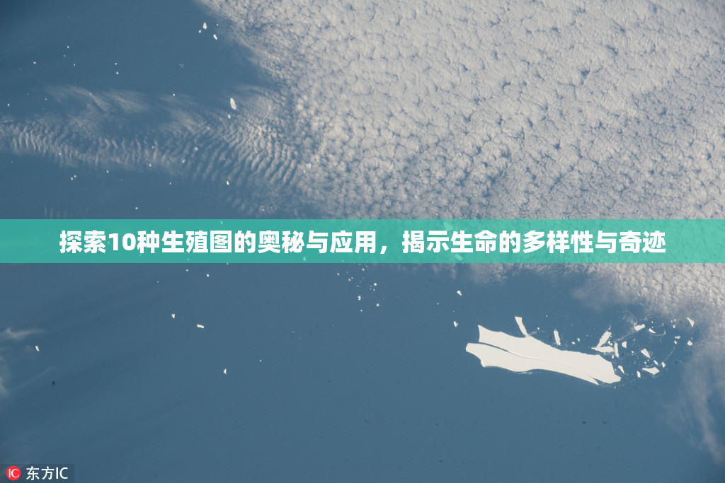 探索10种生殖图的奥秘与应用，揭示生命的多样性与奇迹
