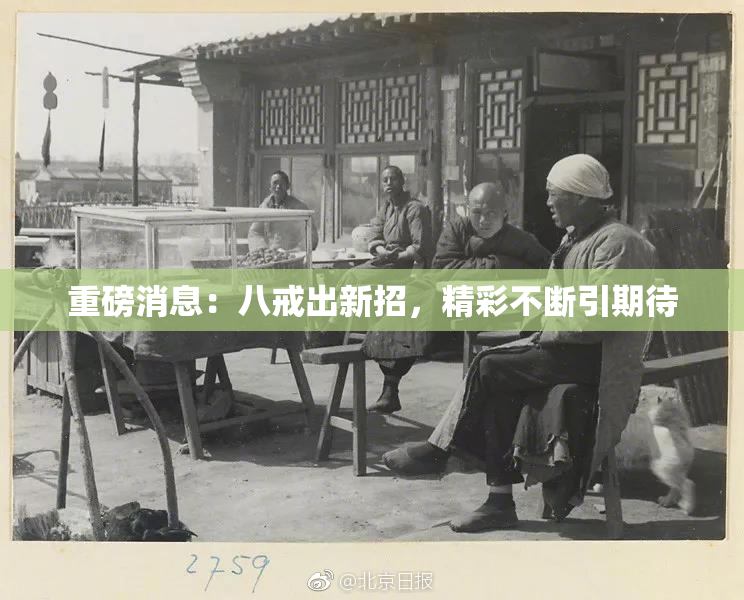 重磅消息：八戒出新招，精彩不断引期待