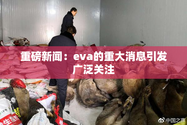 重磅新闻：eva的重大消息引发广泛关注