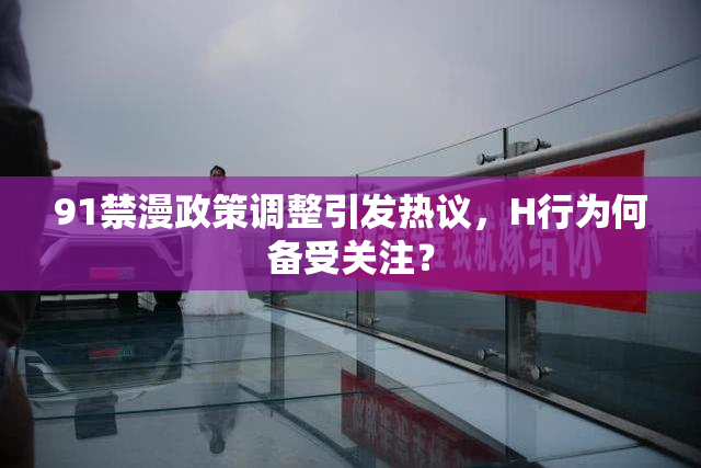 91禁漫政策调整引发热议，H行为何备受关注？