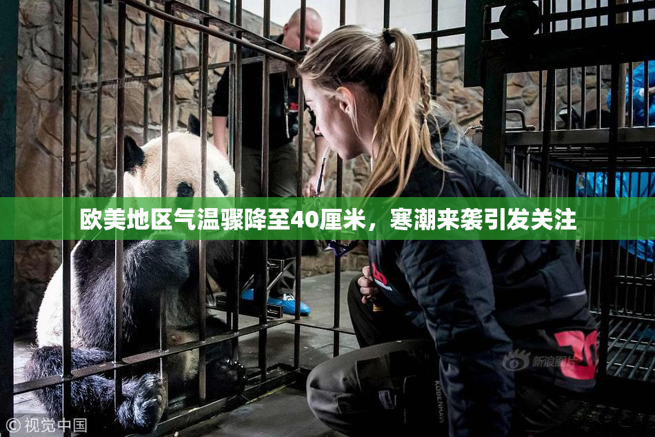 欧美地区气温骤降至40厘米，寒潮来袭引发关注