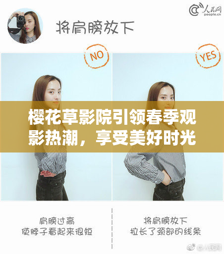 樱花草影院引领春季观影热潮，享受美好时光