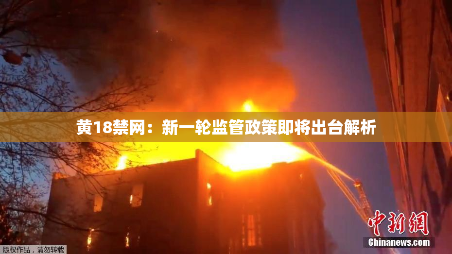 黄18禁网：新一轮监管政策即将出台解析