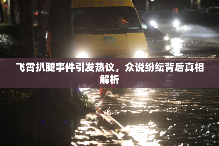 飞霄扒腿事件引发热议，众说纷纭背后真相解析
