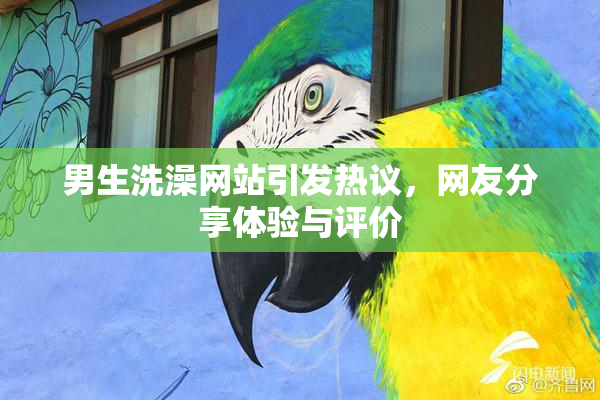男生洗澡网站引发热议，网友分享体验与评价