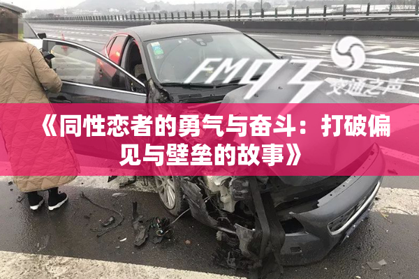 《同性恋者的勇气与奋斗：打破偏见与壁垒的故事》