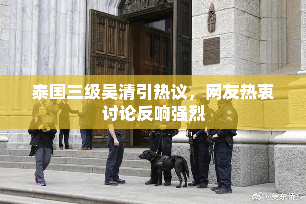 泰国三级吴清引热议，网友热衷讨论反响强烈