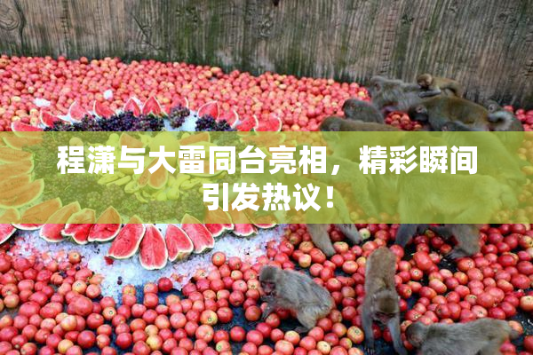 程潇与大雷同台亮相，精彩瞬间引发热议！