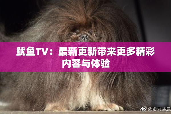 鱿鱼TV：最新更新带来更多精彩内容与体验