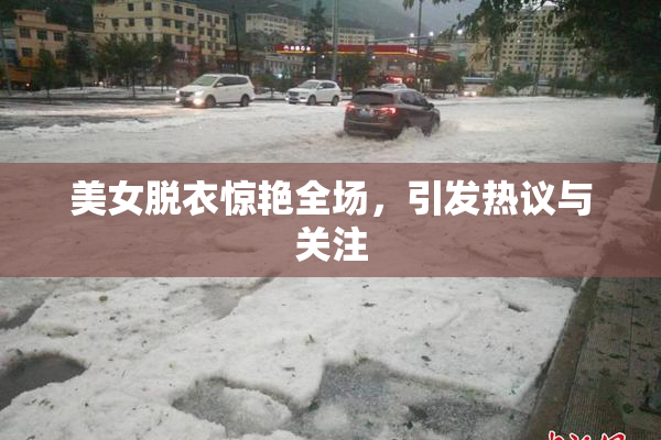 美女脱衣惊艳全场，引发热议与关注