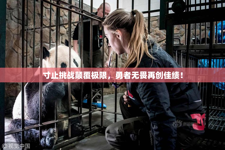 寸止挑战颠覆极限，勇者无畏再创佳绩！
