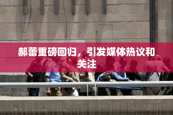 郝蕾重磅回归，引发媒体热议和关注