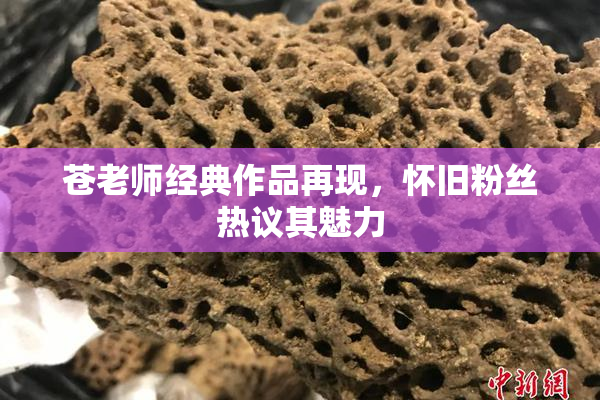 苍老师经典作品再现，怀旧粉丝热议其魅力