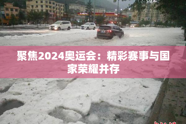 聚焦2024奥运会：精彩赛事与国家荣耀并存