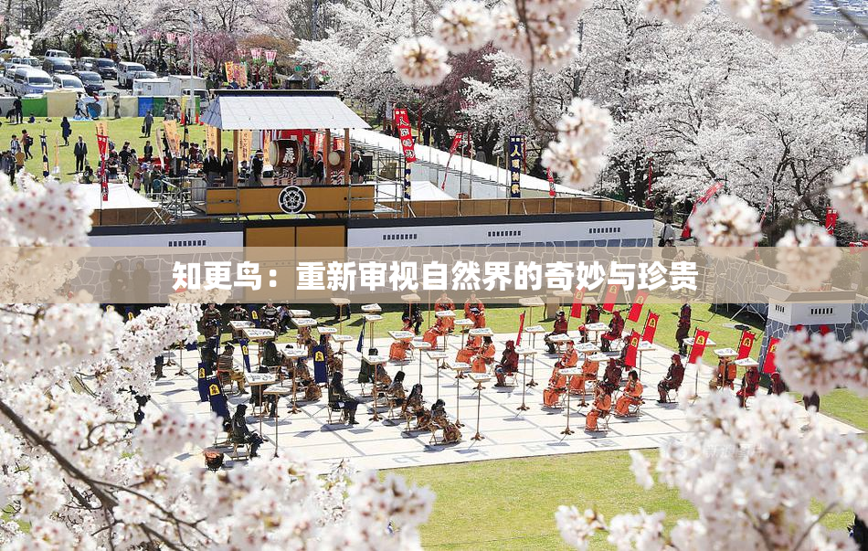 知更鸟：重新审视自然界的奇妙与珍贵