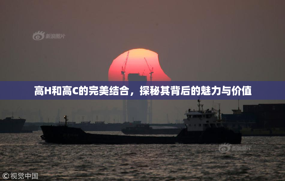 高H和高C的完美结合，探秘其背后的魅力与价值