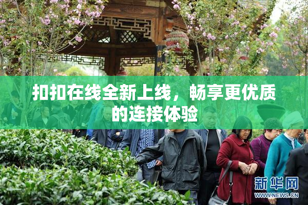 扣扣在线全新上线，畅享更优质的连接体验