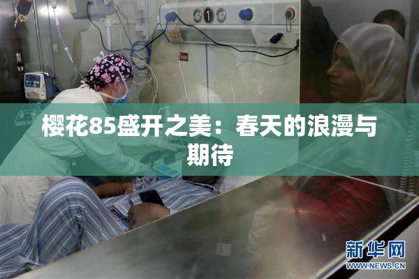 樱花85盛开之美：春天的浪漫与期待
