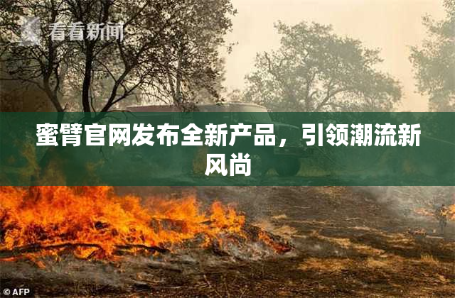 蜜臂官网发布全新产品，引领潮流新风尚