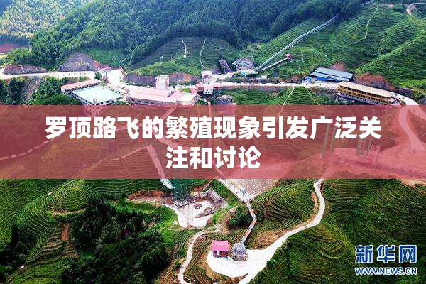 罗顶路飞的繁殖现象引发广泛关注和讨论