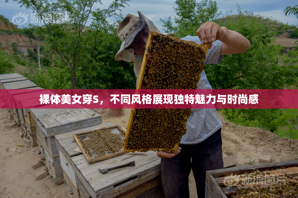 裸体美女穿S，不同风格展现独特魅力与时尚感